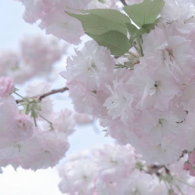 Furry绘画避坑实用指南福瑞群